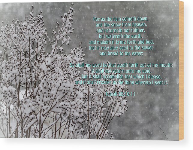 Snow Wood Print featuring the photograph The Snow From Heaven - Isaiah 55 by Kathy Clark
