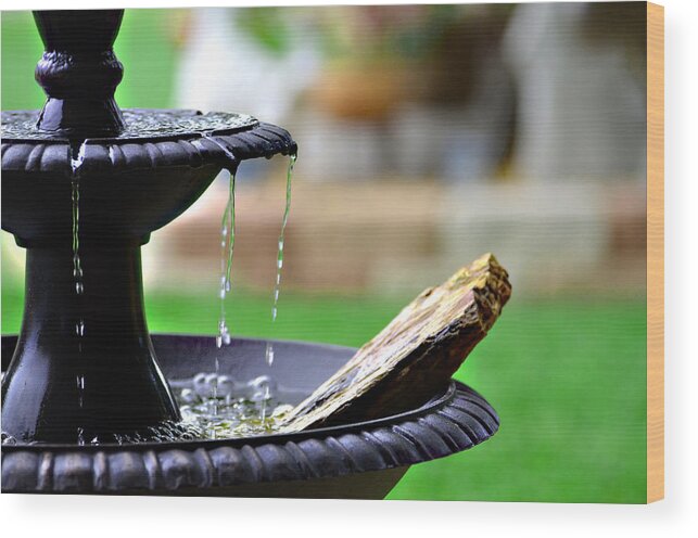 Fountain Wood Print featuring the photograph The Sound Of Contentment by Linda Cox