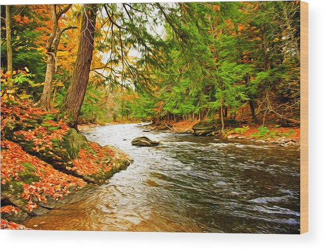 Stream Wood Print featuring the photograph The Stream by Bill Howard