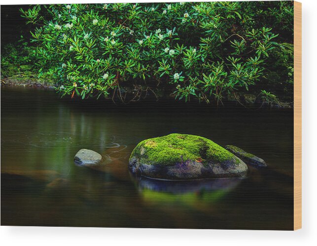 Quiet River Scene Wood Print featuring the photograph The Stream's Embrace by Michael Eingle