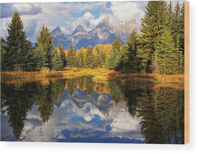 Autumn Calm Capped Clouds Cloudy Colors Fall Gold Grand Grasses Wood Print featuring the photograph The Towering Tetons by Leda Robertson