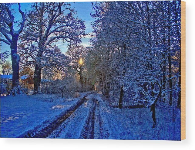 Snow Wood Print featuring the photograph The Track by Dave Woodbridge