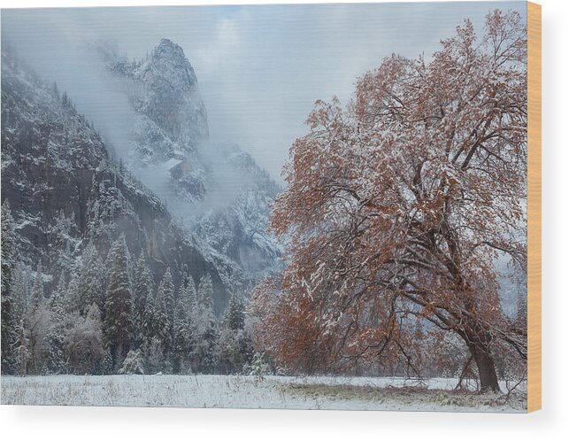 Landscape Wood Print featuring the photograph The Two Seasons by Jonathan Nguyen