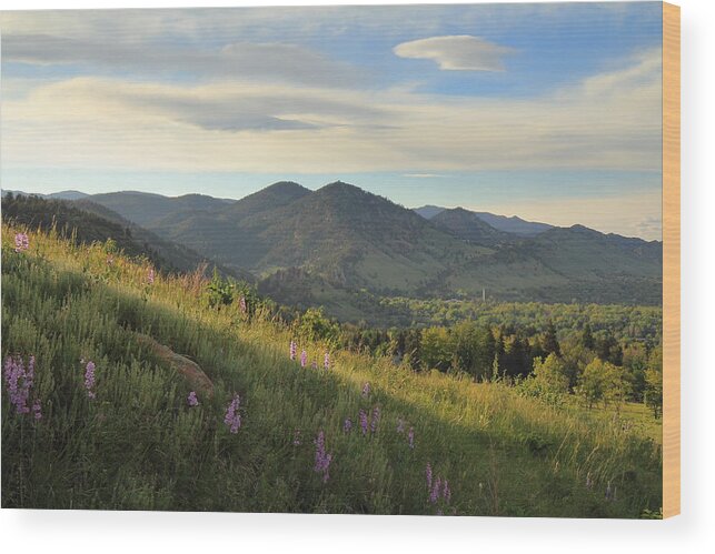 Chautauqua Wood Print featuring the photograph The View from Chautauqua by Scott Rackers