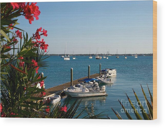 Caribbean Wood Print featuring the photograph The View from St Francis Resort Exuma by Cheryl Hurtak