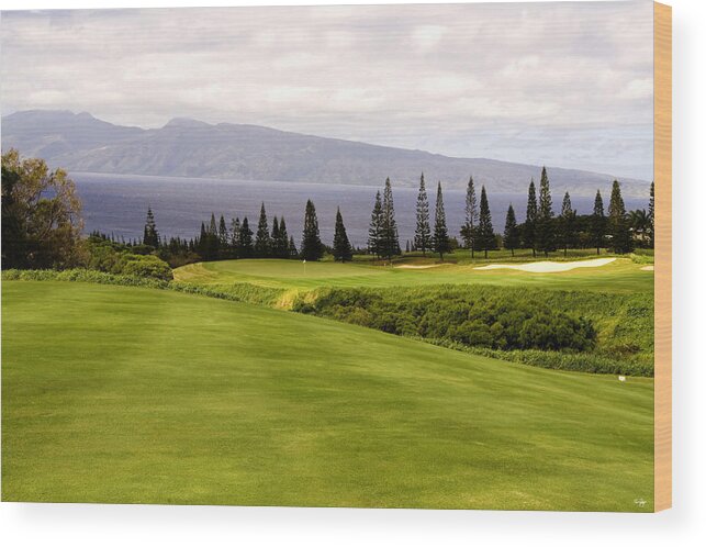 Golf Wood Print featuring the photograph The View by Scott Pellegrin