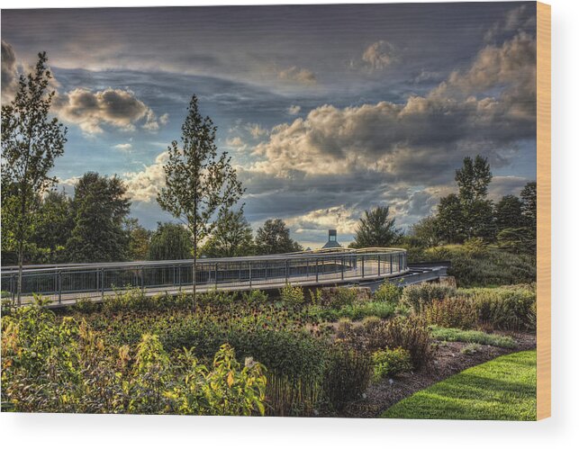 Landscape Wood Print featuring the photograph The Walking Path by Scott Wood