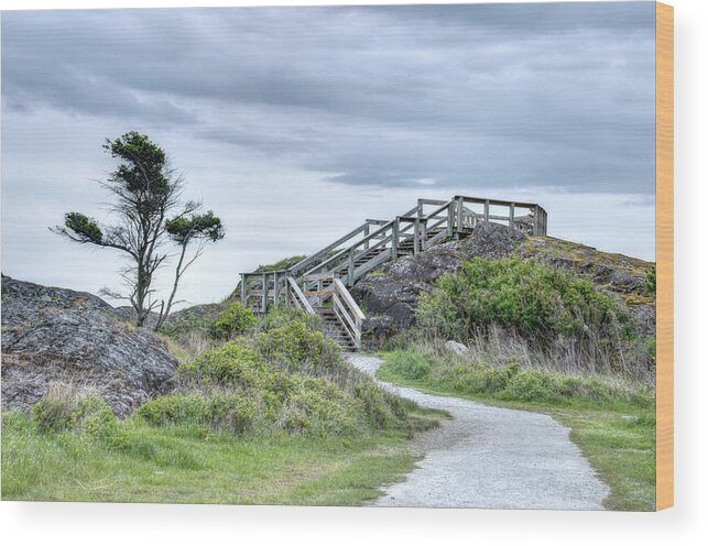 Walkway Wood Print featuring the photograph The Walkway at Neck Point by Kathy Paynter
