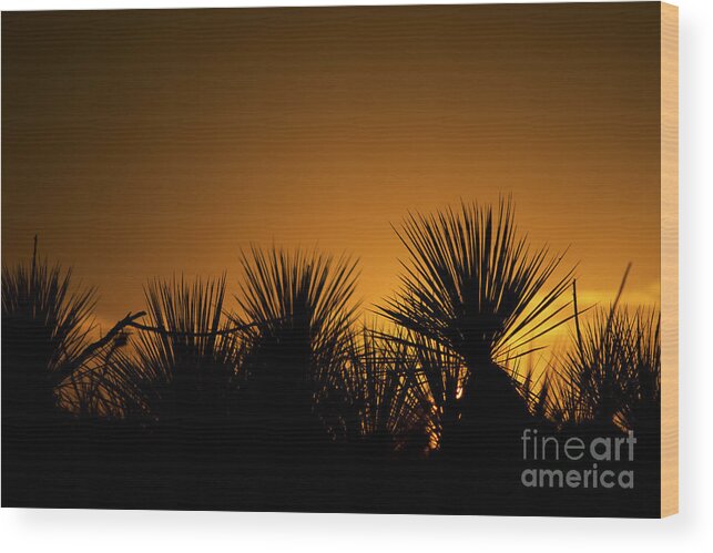 Ryan Smith Wood Print featuring the photograph The Western Glow by Ryan Smith