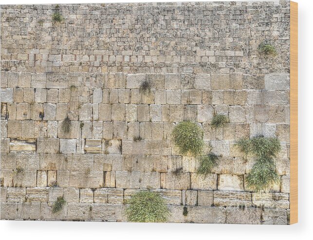 Western Wall Wood Print featuring the photograph The Western Wall Jerusalem Israel by Amir Paz