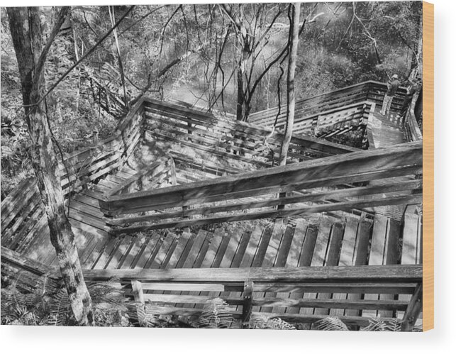 Nature Wood Print featuring the photograph The Winding Stairs by Howard Salmon