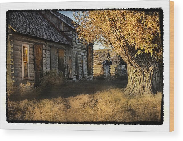 Landscape Wood Print featuring the photograph This Old House by Pamela Steege