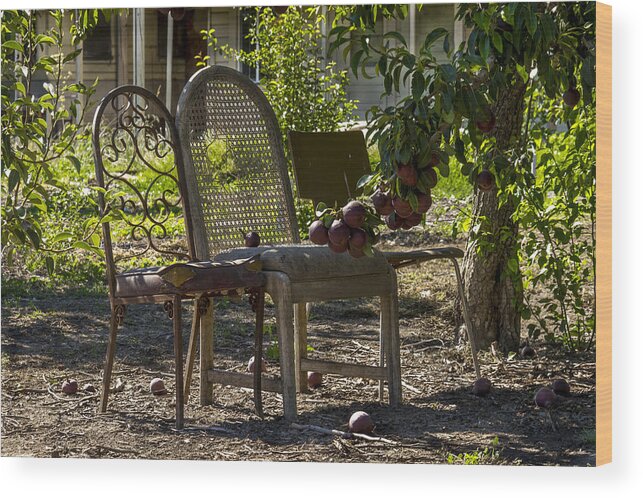 Landscape Wood Print featuring the photograph Three Chairs by Bruce Bottomley