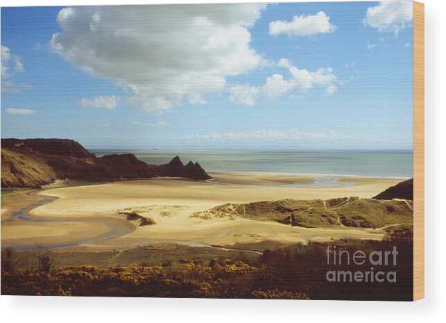 Gower Wood Print featuring the photograph Three Cliffs Bay on the Gower by Paul Cowan