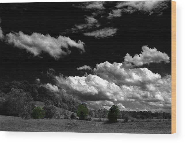 Trees Wood Print featuring the photograph Three Green Trees by David Yocum