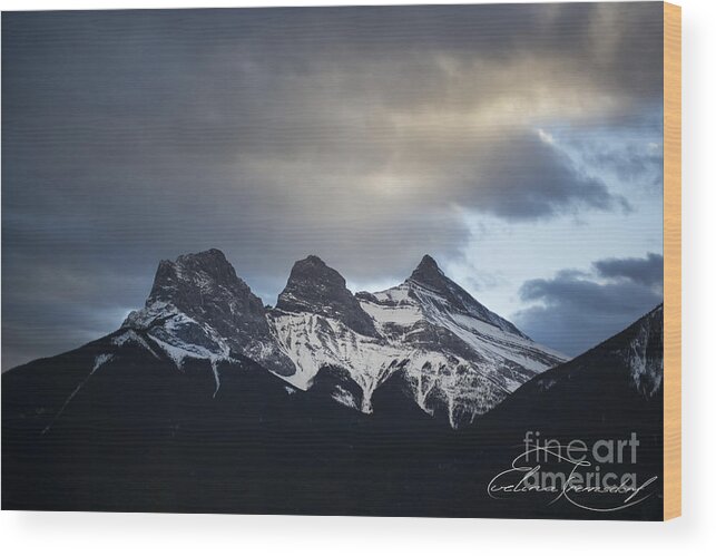 Three Sisters Wood Print featuring the photograph Three Sisters - Special request by Evelina Kremsdorf
