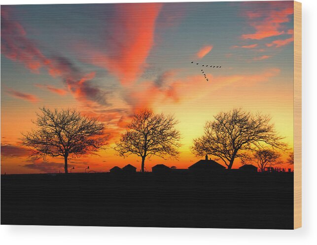 Sunset Wood Print featuring the photograph Three Trees In The Park by Cathy Kovarik