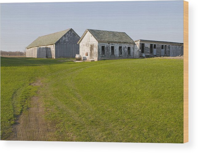 Photograph Wood Print featuring the photograph Three Weathered Farm Buildings by Lynn Hansen
