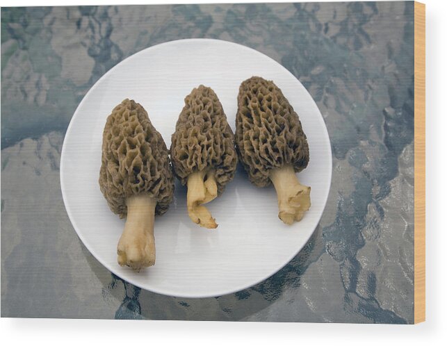 Michigan Wood Print featuring the photograph Three Wild Morel Mushrooms On A Plate by Snap Decision