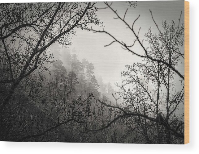 Landscape Wood Print featuring the photograph Through the Fog by David Dedman
