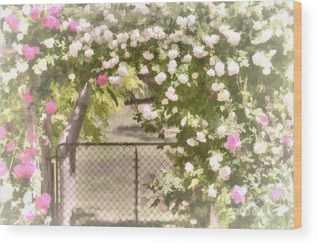 Roses Wood Print featuring the photograph Through the Rose Arbor by Elaine Teague