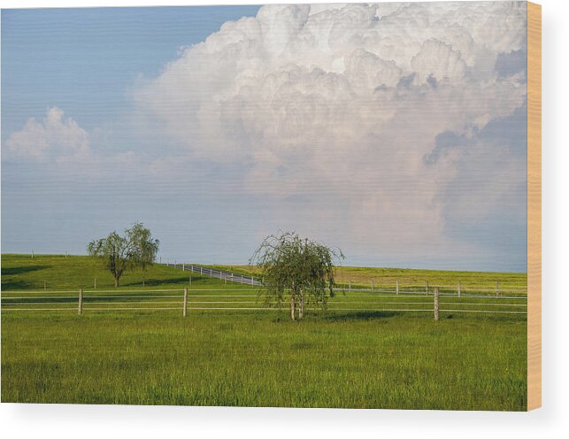 Farm Wood Print featuring the photograph Thunderhead Over The Pasture by Cathy Kovarik