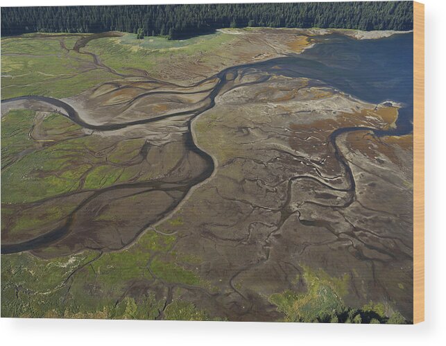 530682 Wood Print featuring the photograph Tidal Flat Inside Passage Alaska by Hiroya Minakuchi