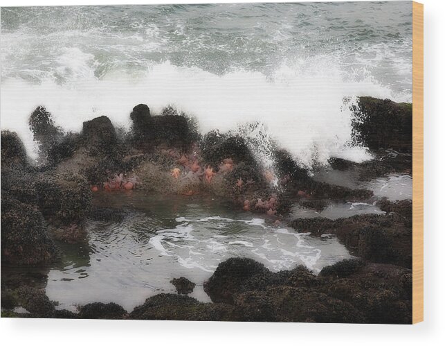 Tidalpool Wood Print featuring the photograph Tide Pool by Hugh Smith