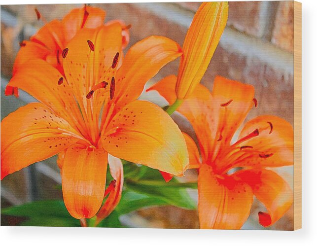 Tiger Lilies Wood Print featuring the photograph Tiger Lilies by Barbara Dean