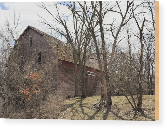 Barn Wood Print featuring the photograph Timber Barn by Bonfire Photography