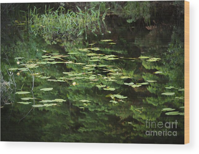 Reflection Wood Print featuring the photograph Time for Reflection by Jola Martysz