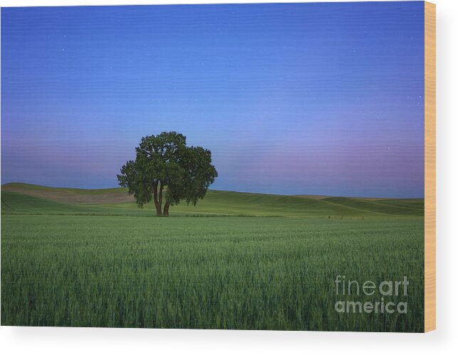 Blue Wood Print featuring the photograph Timeless Evening by Beve Brown-Clark Photography