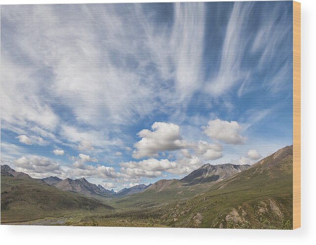 Canada Wood Print featuring the photograph Tombstone Range by Michele Cornelius