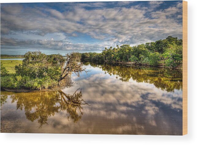 Marsh Wood Print featuring the photograph Tomoka Oaks by Brent Craft