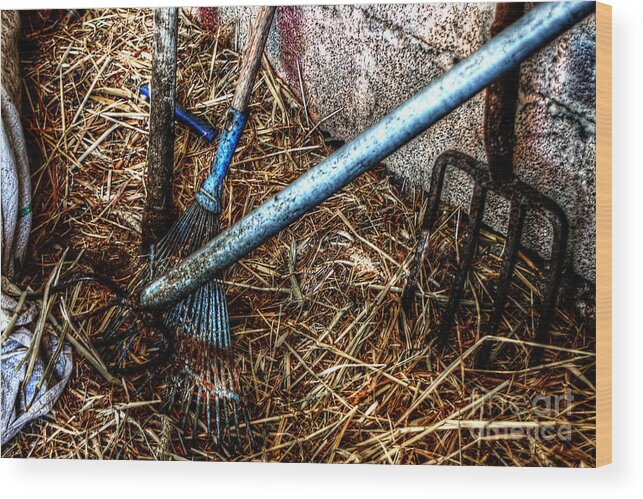 Farm Wood Print featuring the photograph Olde Tools Of The Trade by Doc Braham