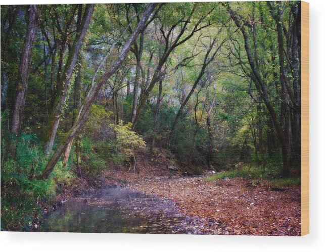 Arkansas Wood Print featuring the photograph Touch of Fall by Lana Trussell