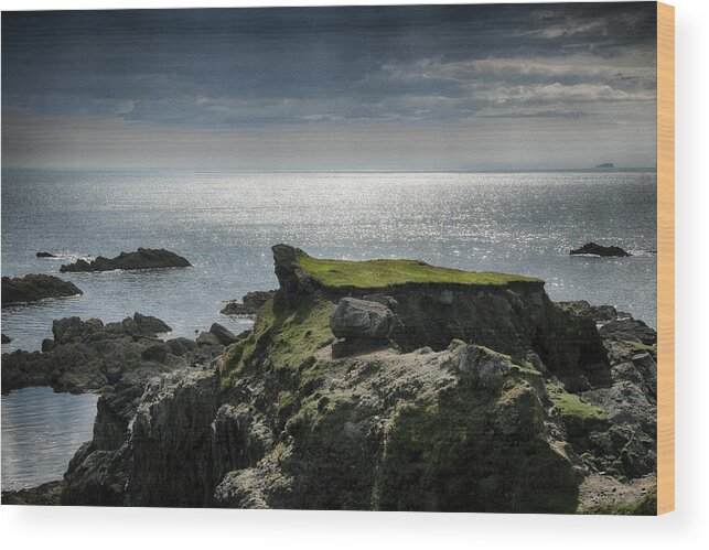 Ireland Wood Print featuring the photograph Tough Green to Get To by Robert Woodward