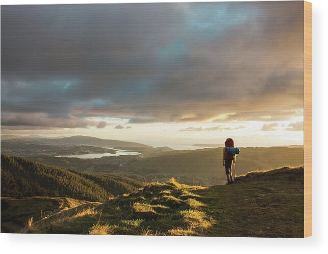 Outdoors Wood Print featuring the photograph Tramper Looking At The View From by New Zealand Transition