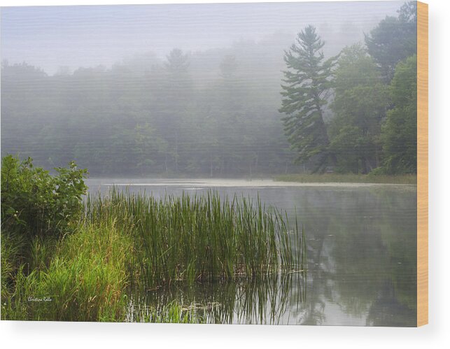 Tranquil Wood Print featuring the photograph Tranquil Moments Landscape by Christina Rollo