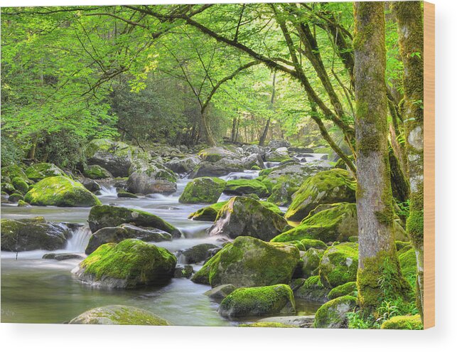 Tremont Wood Print featuring the photograph Tranquil Waters by Mary Anne Baker