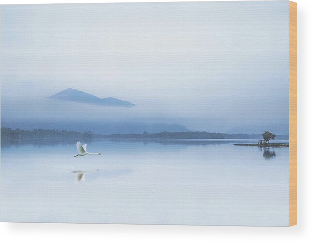 Lake Wood Print featuring the photograph Tranquility by Kieran O Mahony