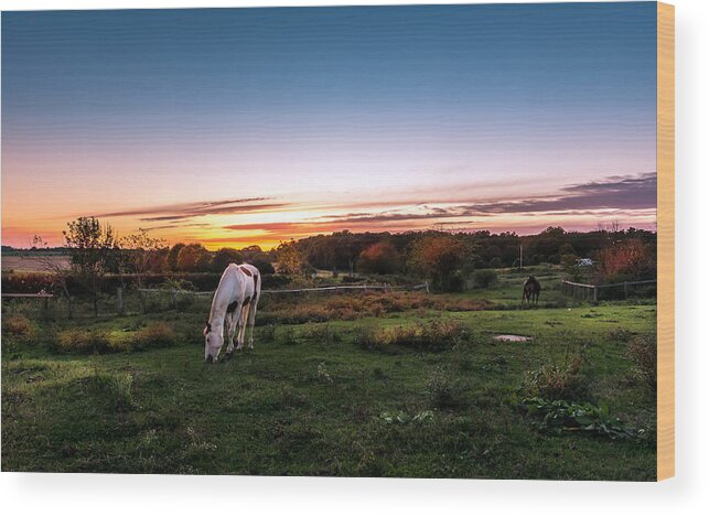 Horse Wood Print featuring the photograph Tranquility by Patrick Wolf