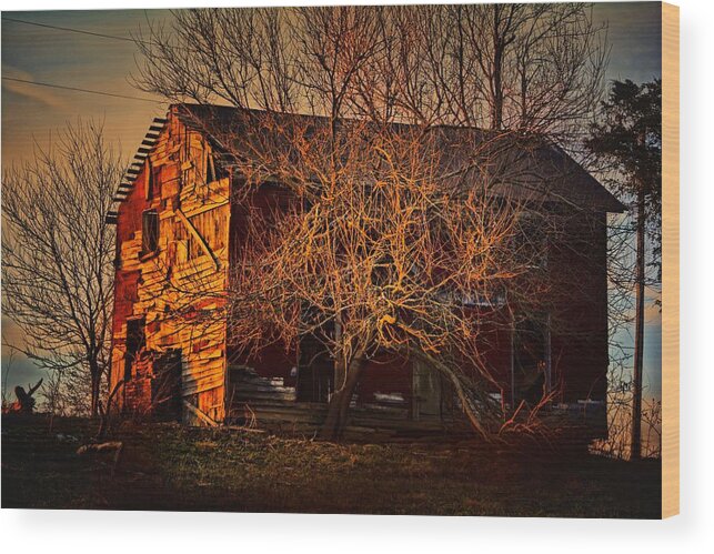 Tree Wood Print featuring the photograph TREE House by Robert McCubbin