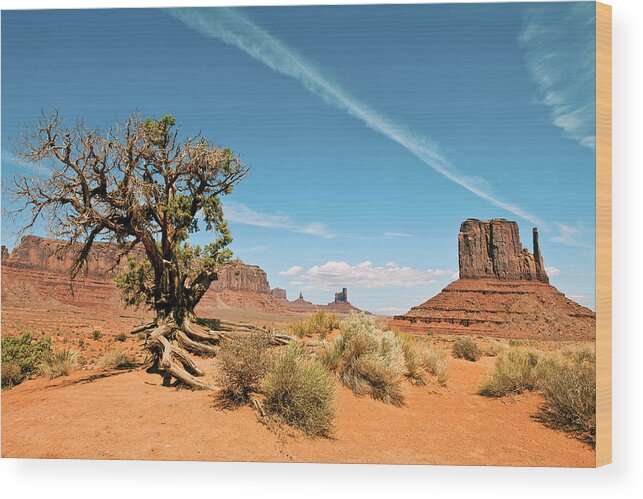 Scenics Wood Print featuring the photograph Tree In Monument Valley Tribal Park by Pavliha