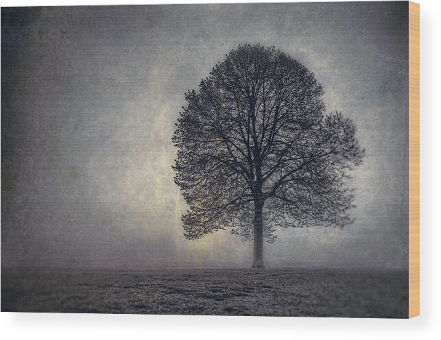 Tree Wood Print featuring the photograph Tree of Life by Scott Norris
