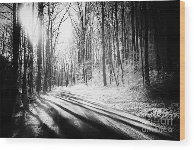 Trees Wood Print featuring the photograph Tree Shadows by Kelly Heaton