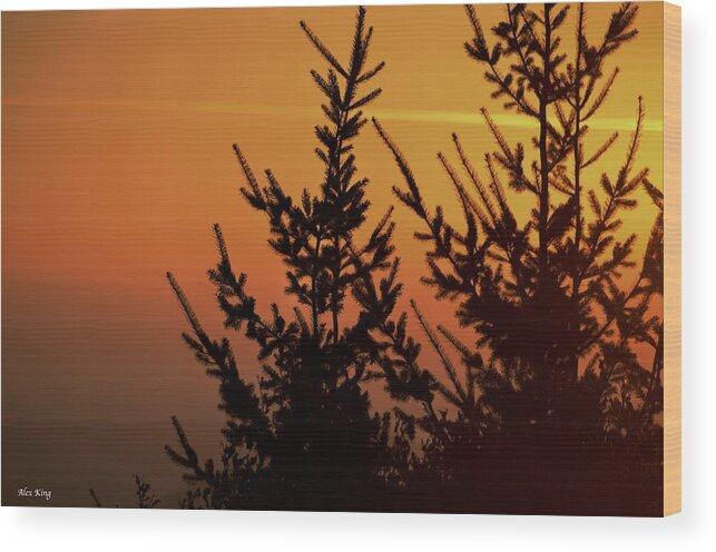 Trees Wood Print featuring the photograph Tree Silhouette at Sunrise by Alex King