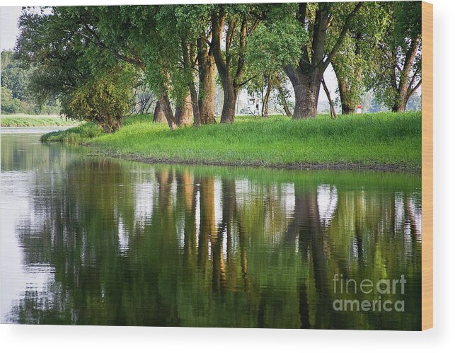 Water Wood Print featuring the photograph Trees Reflection on the Lake by Heiko Koehrer-Wagner