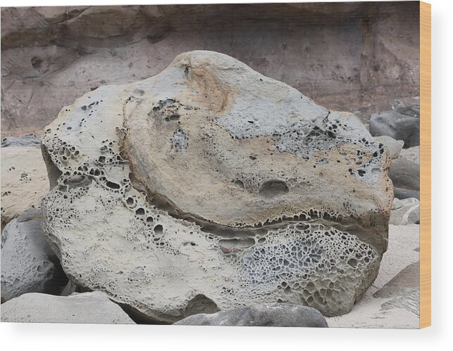 Coastal Rock Revelations Wood Print featuring the photograph Trex Rock by Ruben Carrillo