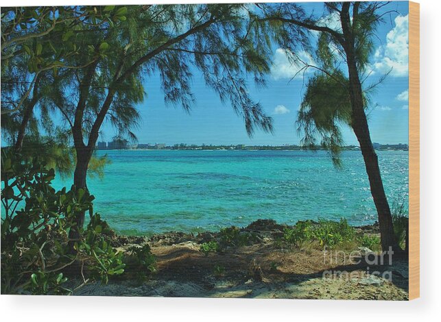 Blue Wood Print featuring the photograph Tropical Aqua Blue Waters by Bob Sample